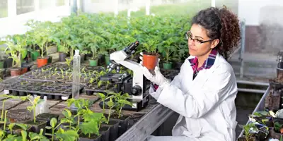 B.Sc Agriculture